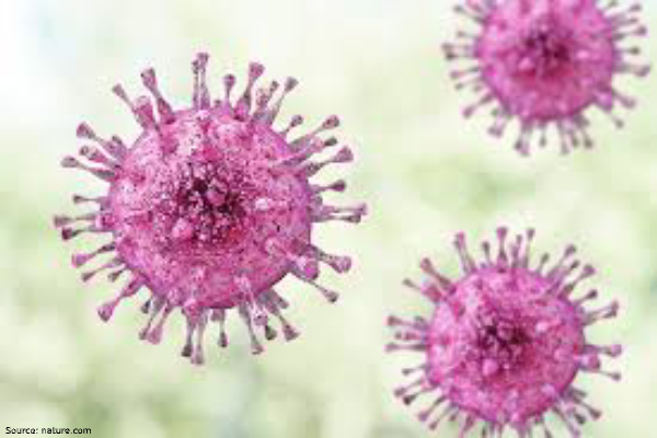 Top 10 queries on Coronaviruses (COVID-19) --KIMSHEALTH Oman Hospital